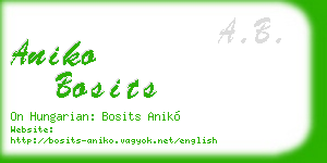 aniko bosits business card